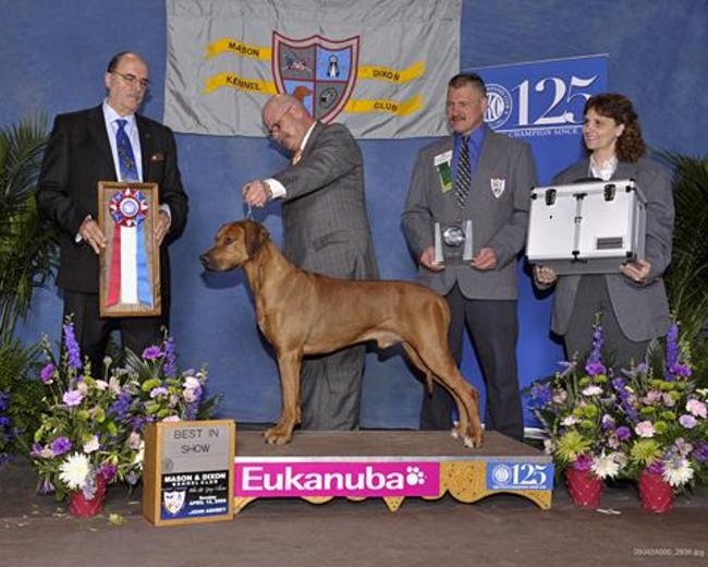 Bridgeview B&B Railfan Rockville Bridge Blog