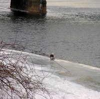 Winter Birding at The Bridgeview B&B