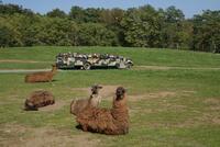 Lake Tobias Wildlife Park Halifax PA