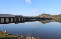 Bring Your Fishing Rod!!