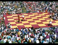 PA Renaissance Faire