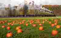 The Pumpkin Patch Express at EBT