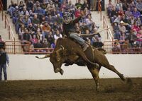 Bullride Mania at PA Farm Show Complex