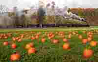 Pumpkin Patch Express at EBT